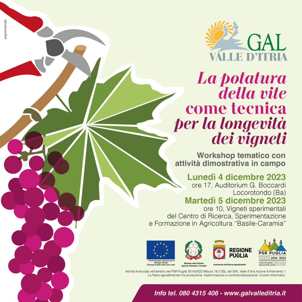potatura gal valle ditria vigneto 1x1