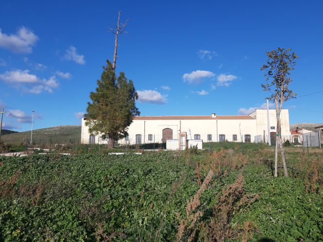 MASSERIA FILIERI POGGIORSINI