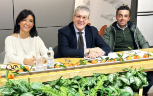 Conf stampa Consorzio di Tutela IGP Clementine delo Golfo di Taranto ORIZZONTALE