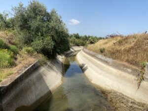 Canale adduttore (11)