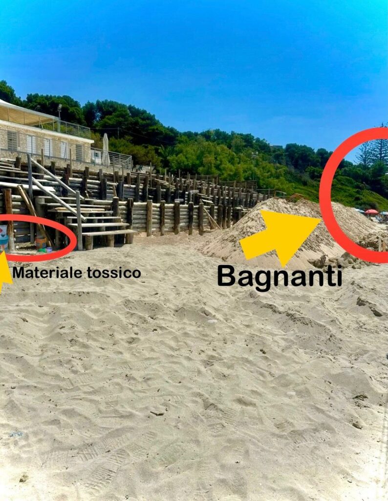 Immagine WhatsApp 2024 06 17 ore 00.50.28 e69a56d6