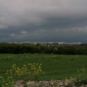 IMG 20250329 WA0020