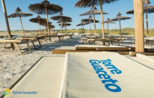 1230127 torre guaceto