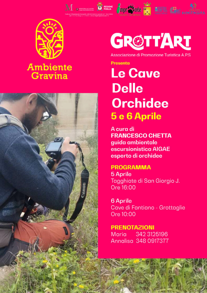 Locandina Le Cave delle Orchidee