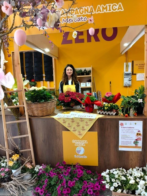 Primavera ritornano piante e fiori nelle case dei pugliesi