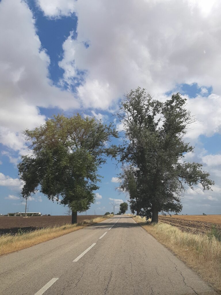 ALTA MURGIA, foto nino sangerardi