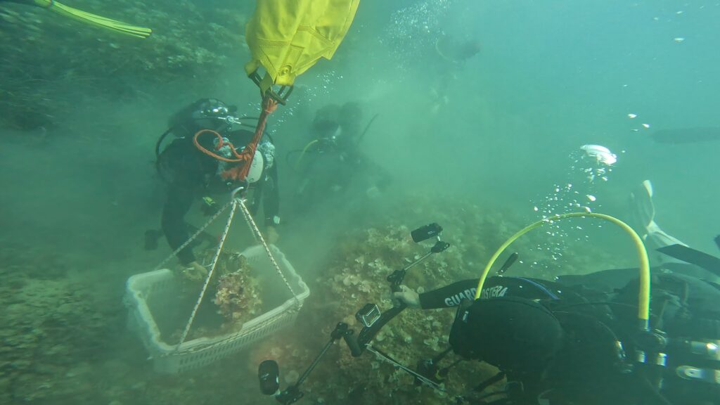 GX018983 frame at 2m36s(1)