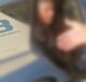 IMG 20250612 151846