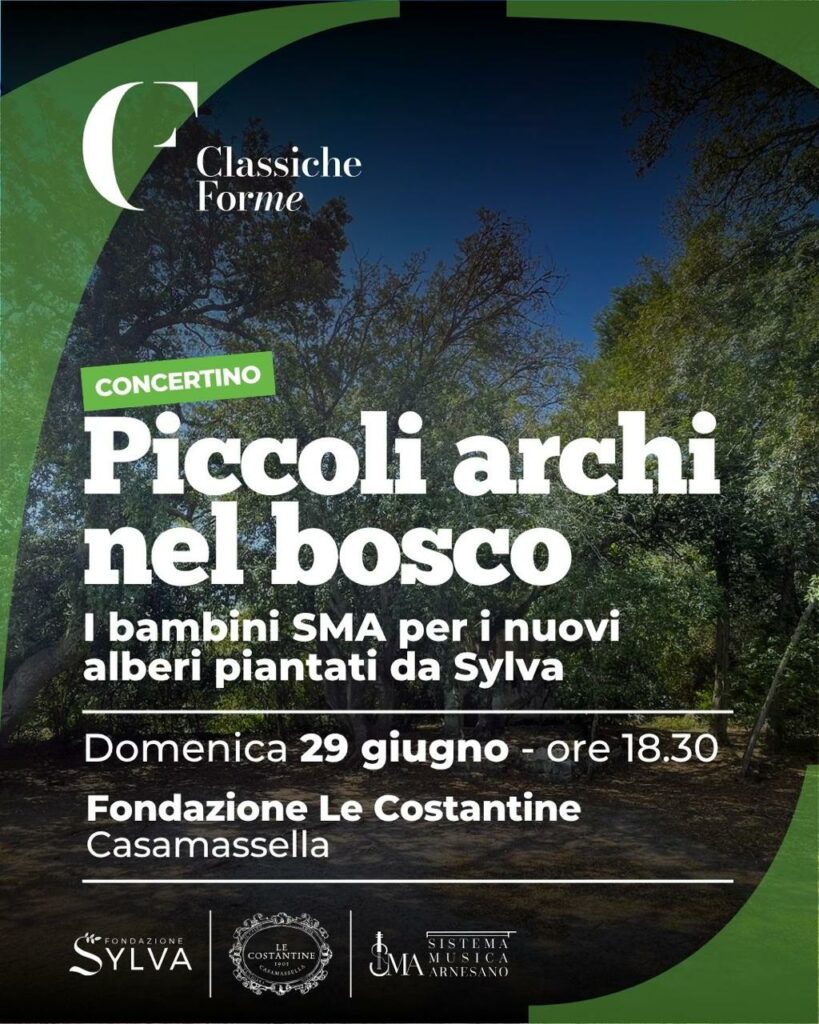 Piccoli archi nel bosco