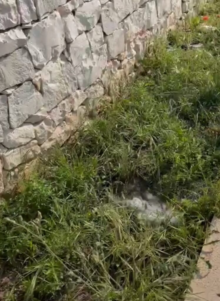 Screenshot 20250612 063241
