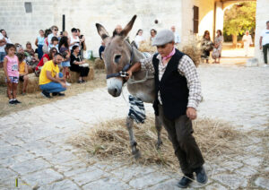 Battitura grano con asino a Masseria Feudo Foto Isonomia Ets