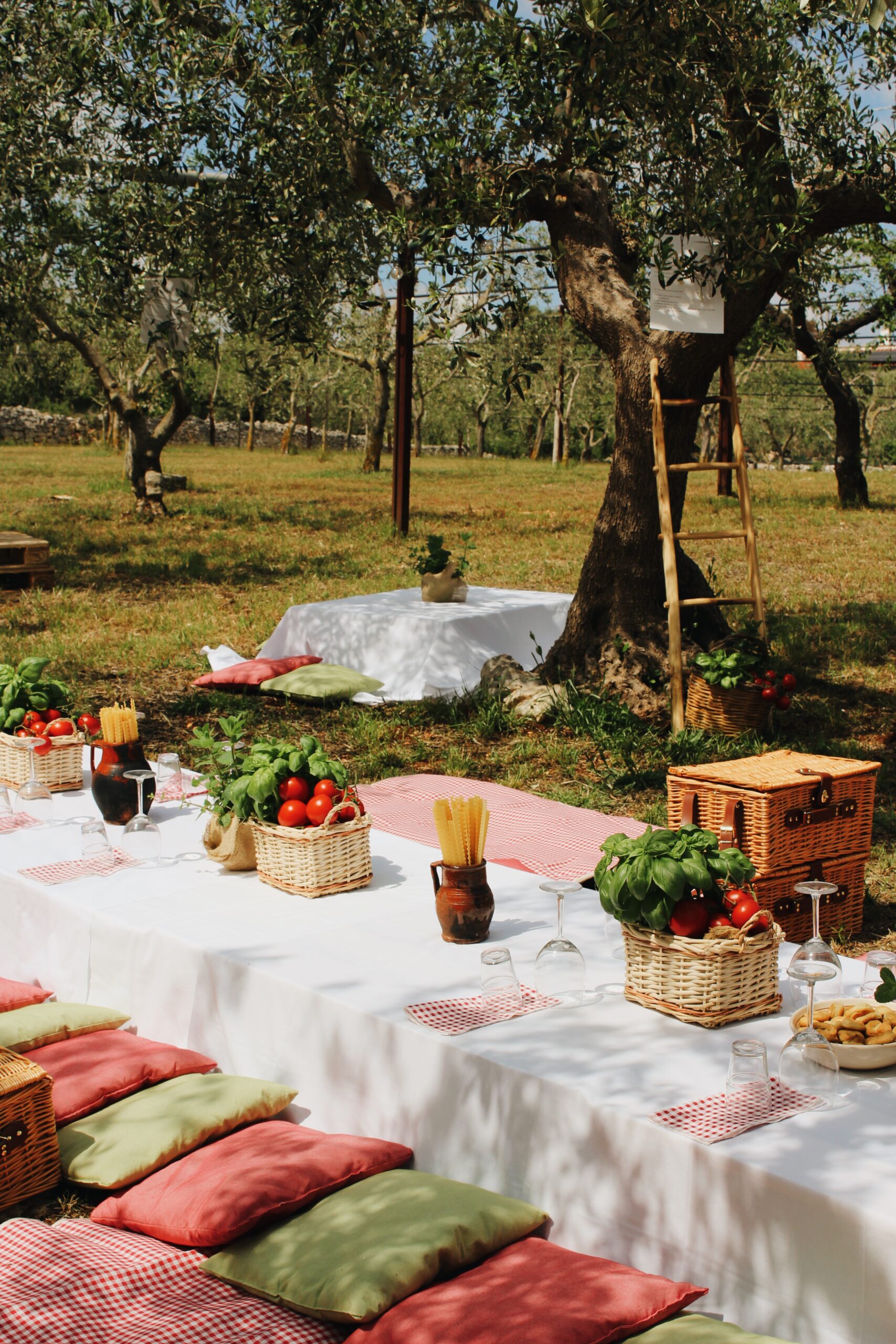 Conversano: picnic all’ombra degli ulivi Pugliamare