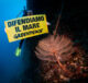 Underwater Documentation in Giannutri Island