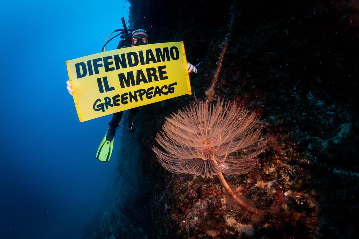 Caldo, mare: Greenpeace, alle Tremiti e Torre Guaceto oltre i +3°C Report Caldo, mare: Greenpeace, alle Tremiti e Torre Guaceto oltre i +3°C Report