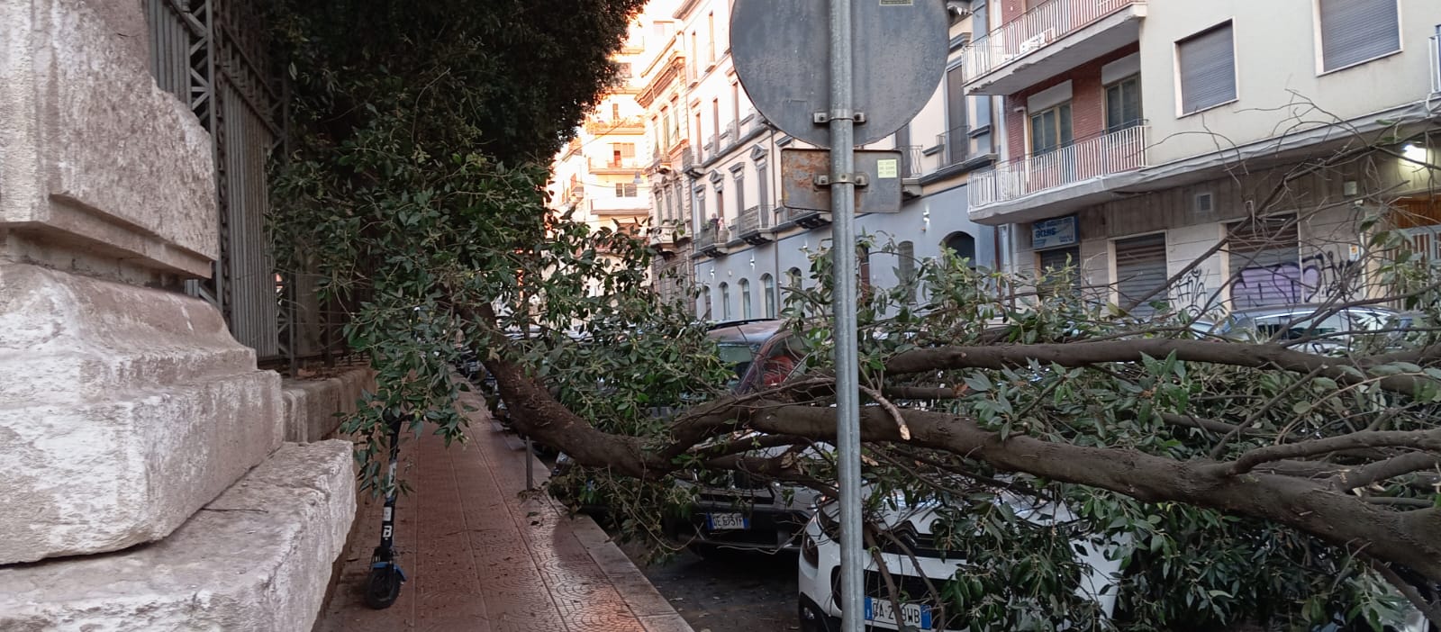Taranto: si spezza un albero della villa Peripato, grosso ramo finisce in strada Nel pomeriggio