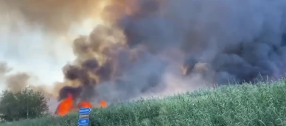 Manfredonia: incendio a Lago Salso, fino a sera per lo spegnimento Possibile origine dolosa per il rogo nell Manfredonia: incendio a Lago Salso, fino a sera per lo spegnimento Possibile origine dolosa per il rogo nell
