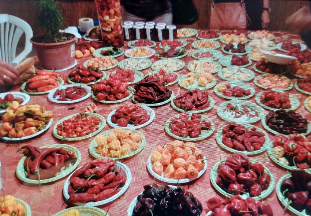 La sagra del peperoncino a Crispiano Ricordi La sagra del peperoncino a Crispiano Ricordi