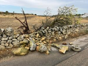 Bollettino di guerra in campagna a Mottola dopo tornado e grandine