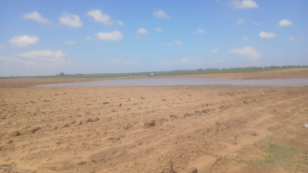 Bomba d0acqua a Brindisi Campi di pomodori e meloni sommersi