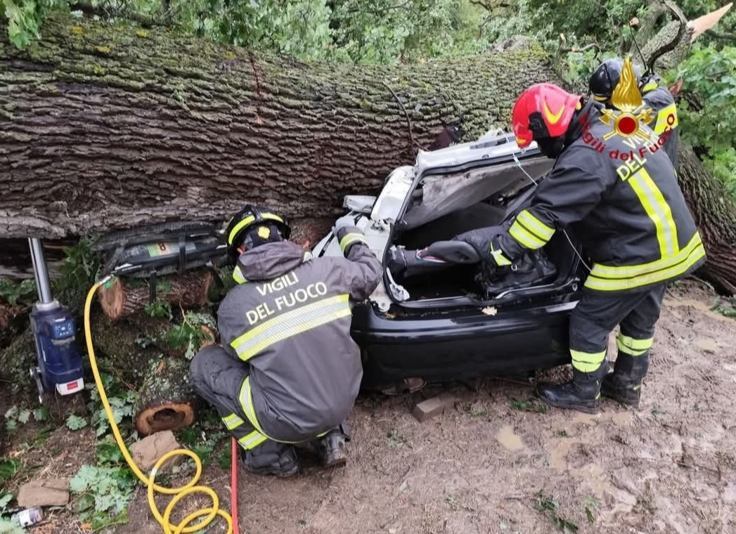 Ferrandina: fulmine abbatte quercia su un’auto, morto 29enne che era a bordo. Tre feriti Sindaco: festa di San Rocco sospesa, lutto cittadino
