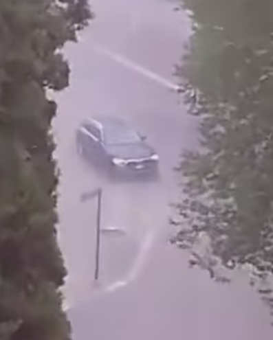 Foggia, temporale e vento: auto in panne, alberi caduti Maltempo anche nella Murgia e nel tarantino Foggia, temporale e vento: auto in panne, alberi caduti Maltempo anche nella Murgia e nel tarantino