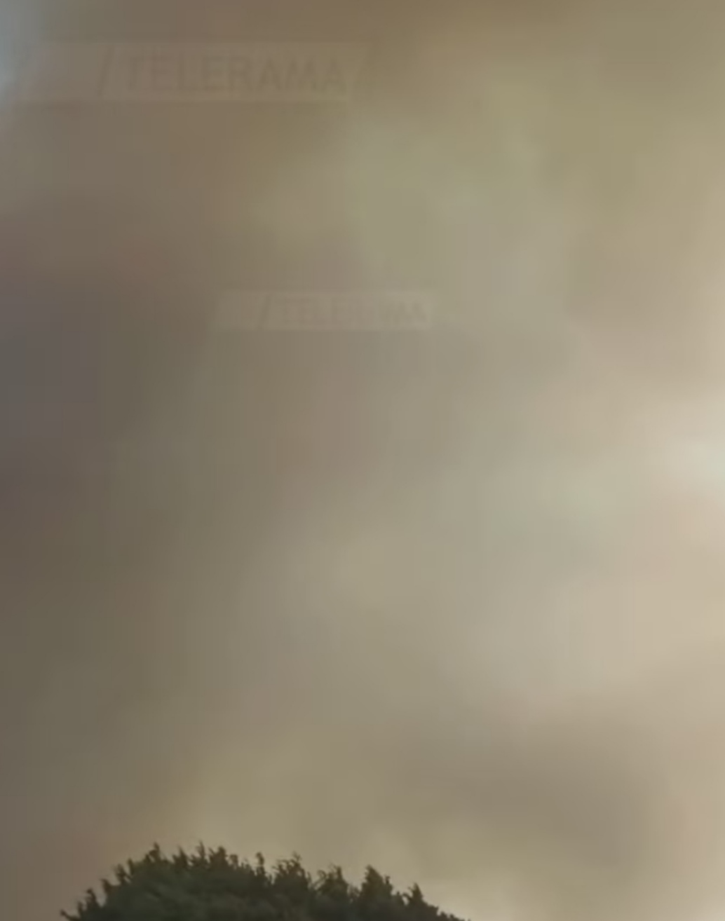 Salento: incendio, evacuate oltre duecento persone Nel pomeriggio Salento: incendio, evacuate oltre duecento persone Nel pomeriggio