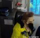 rapinatore maschera