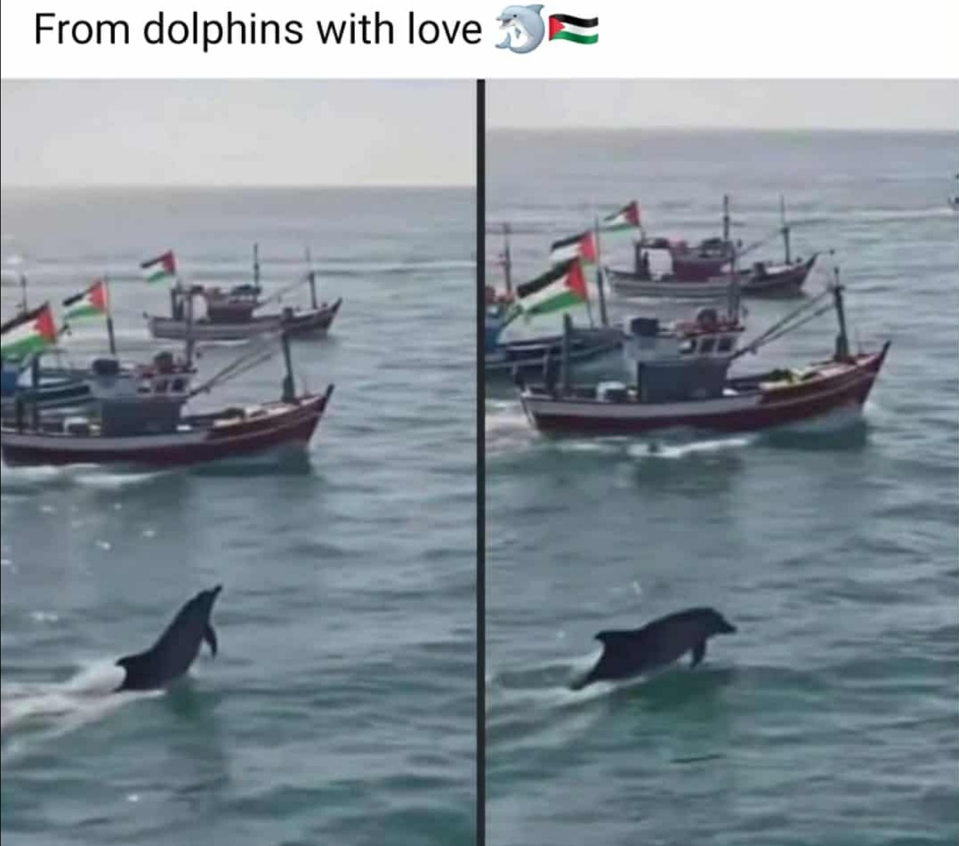 Flotilla, è arrivato il limite della protezione della marina italiana: anche pugliesi a bordo Israele, prossima azione per bloccare gli attivisti
