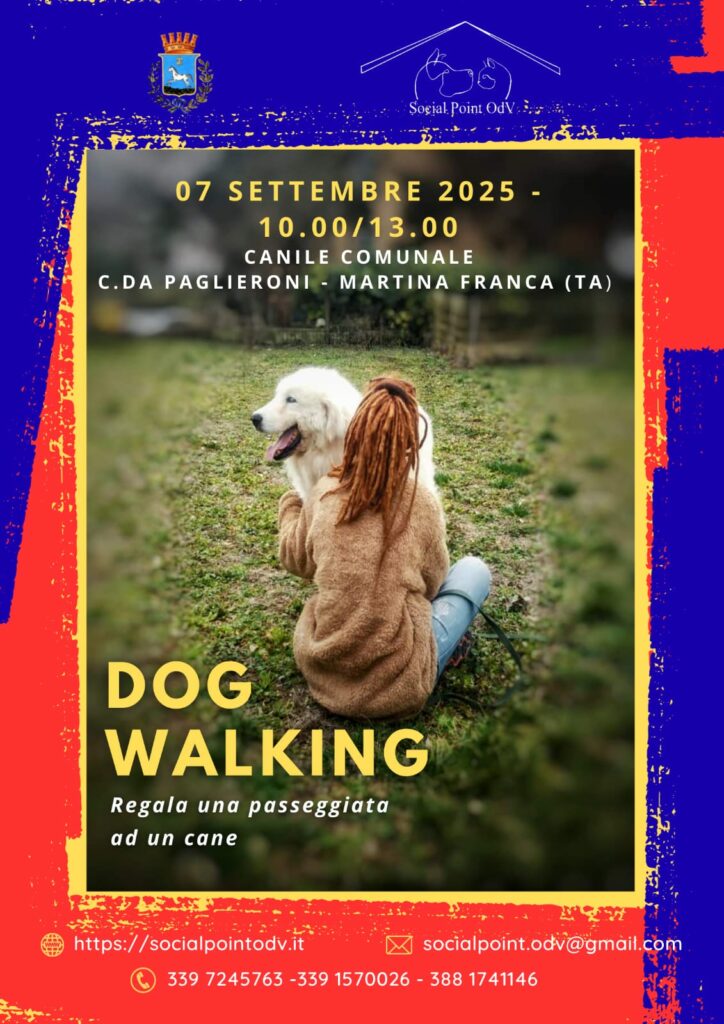 dog walking 7 settembre 25
