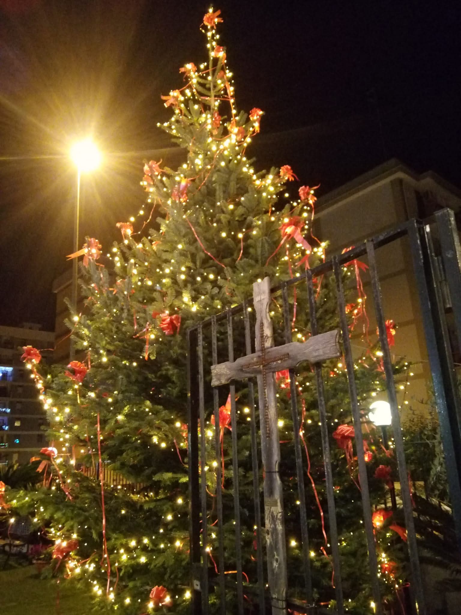 Bari: il comitato Santa Rita fa appello per l’albero di Natale Da installare nel giardino dedicato, quartiere San Paolo