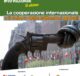 Locandina IX edizione Festival della Cooperazione Internazionale