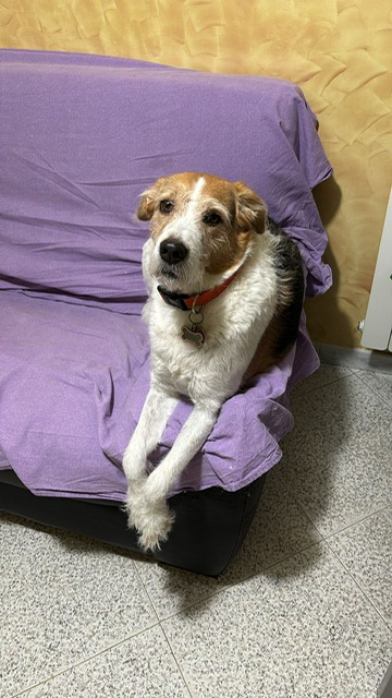 PHOTO 2025 10 20 09 57 39