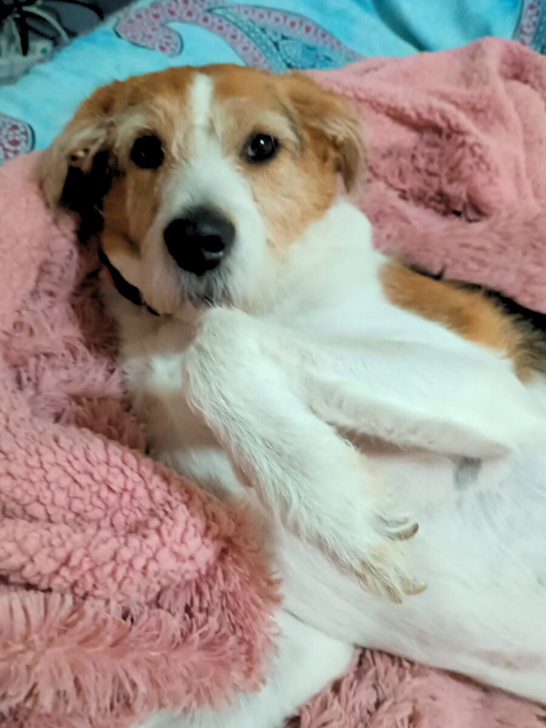 Progetto senza titolo 20251028 160153 0000