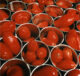 production process 5