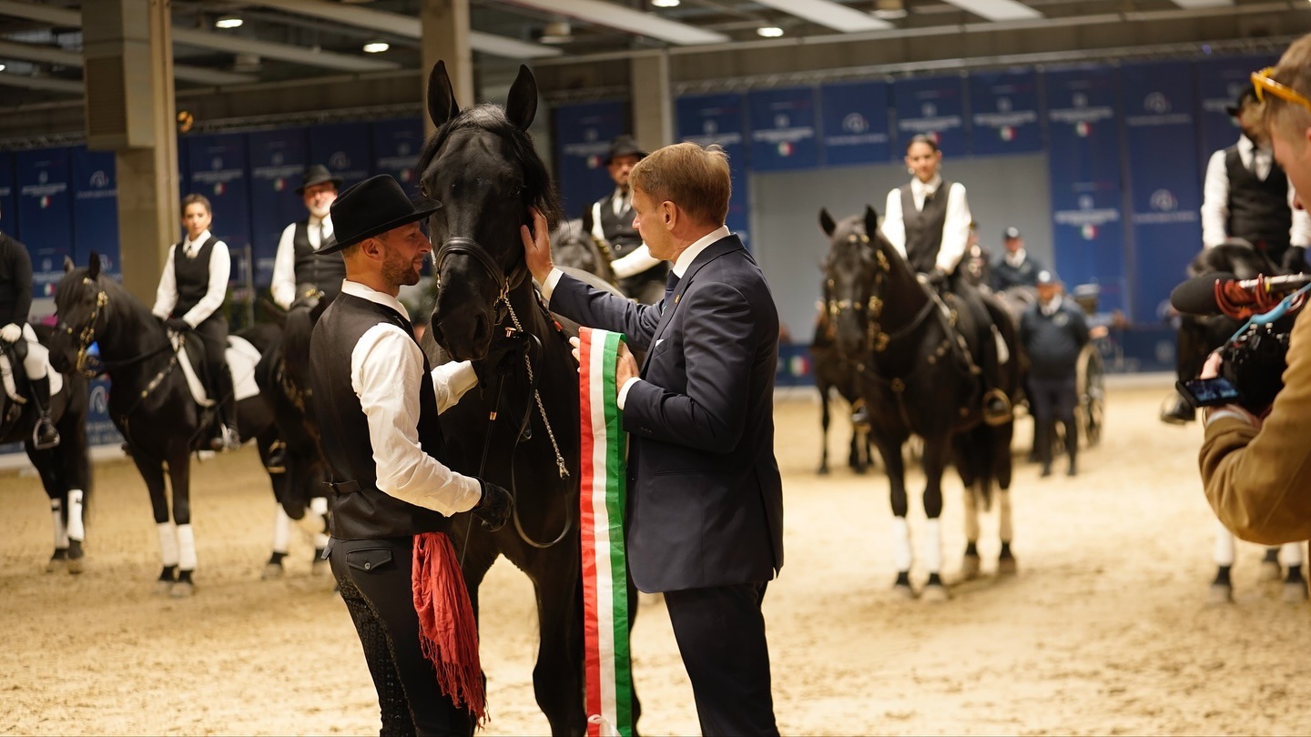 Fieracavalli al via: celebrato il centenario del murgese Iniziata oggi Fieracavalli al via: celebrato il centenario del murgese Iniziata oggi
