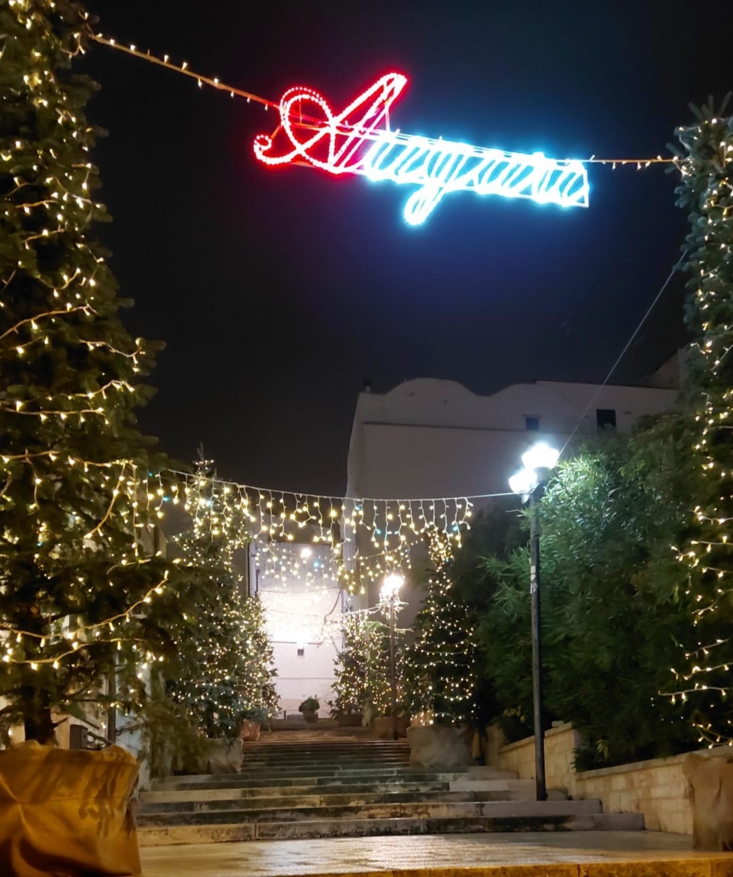 Locorotondo: accese le luminarie natalizie Grande richiamo Locorotondo: accese le luminarie natalizie Grande richiamo