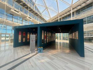 Stop killing women Bari Stop killing women Bari