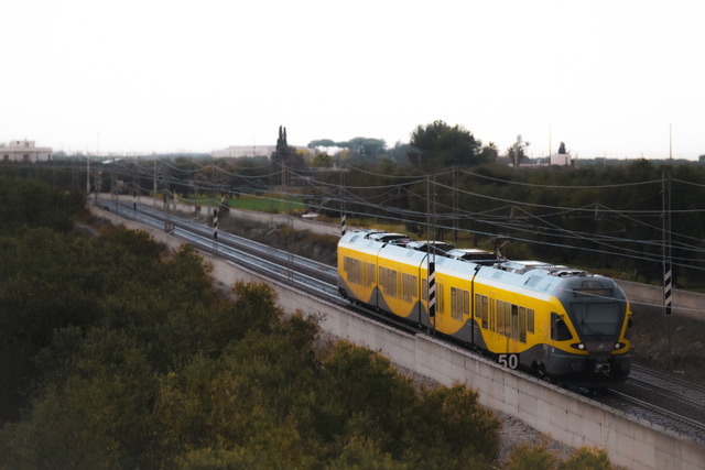 treno ferrotramviaria