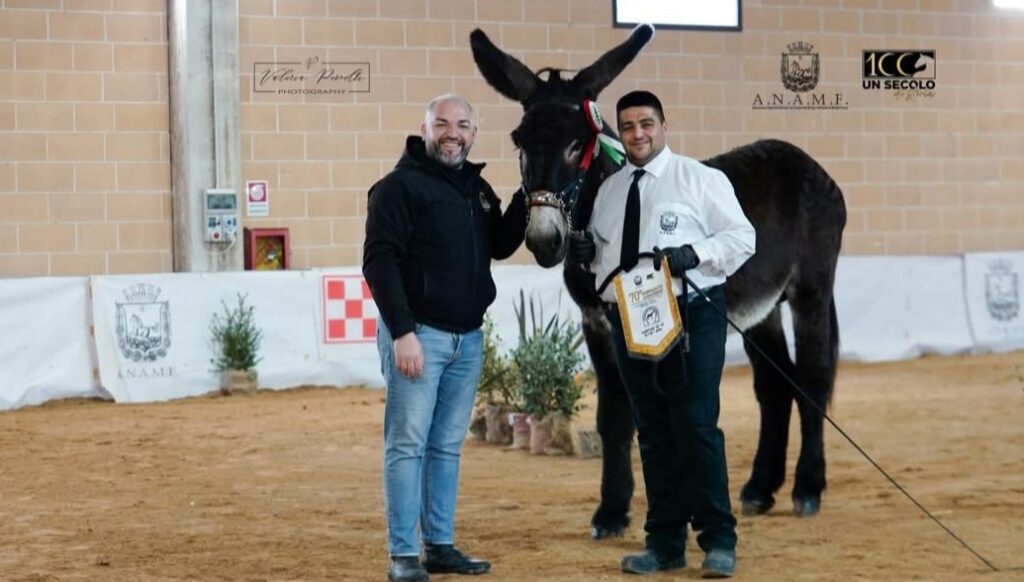 Screenshot 20251212 175918