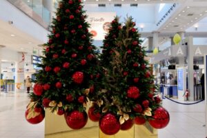 accensione albero all'aeroporto di Bari e festeggiamenti per 11 milioni di passeggeri (4) accensione albero all'aeroporto di Bari e festeggiamenti per 11 milioni di passeggeri (4)