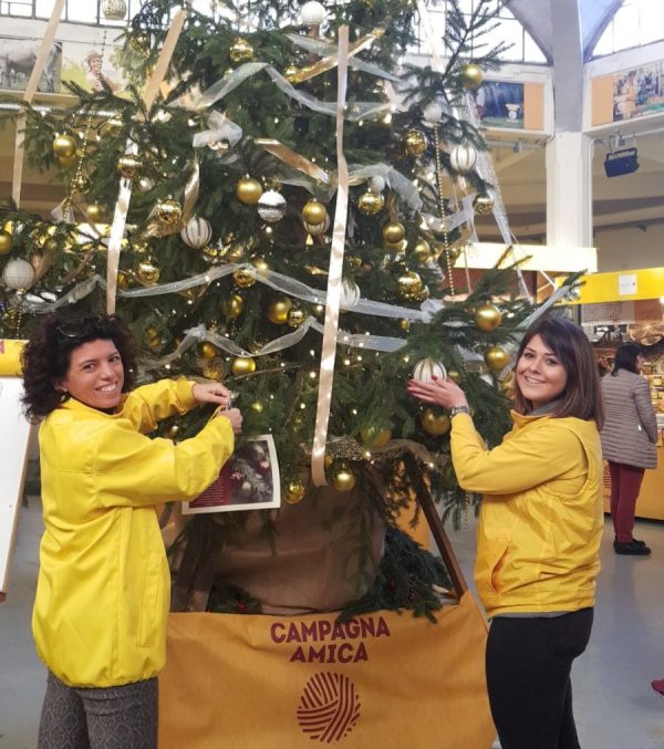 natale alberi e1544261853902