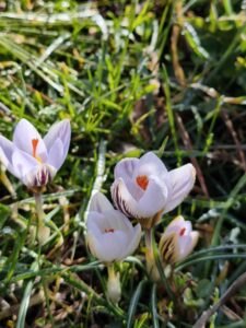 Foto sentiero 3 Foto sentiero 3