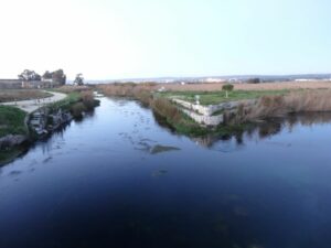 Biforcazione del fiume Tara a Taranto Biforcazione del fiume Tara a Taranto