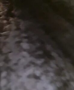 Screenshot 20260223 220420 Screenshot 20260223 220420