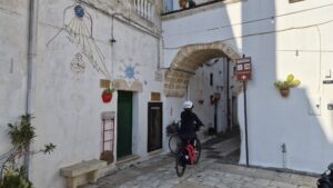 CICLONICA FELLINE CICLONICA FELLINE