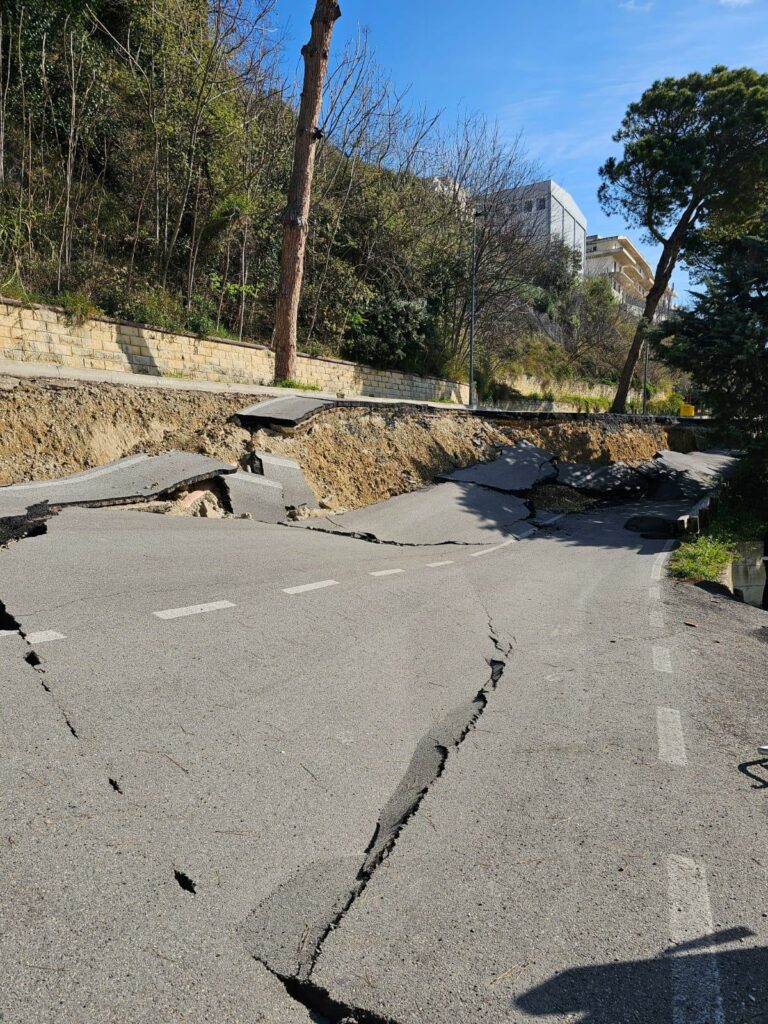 IMG 20260331 WA0025 IMG 20260331 WA0025