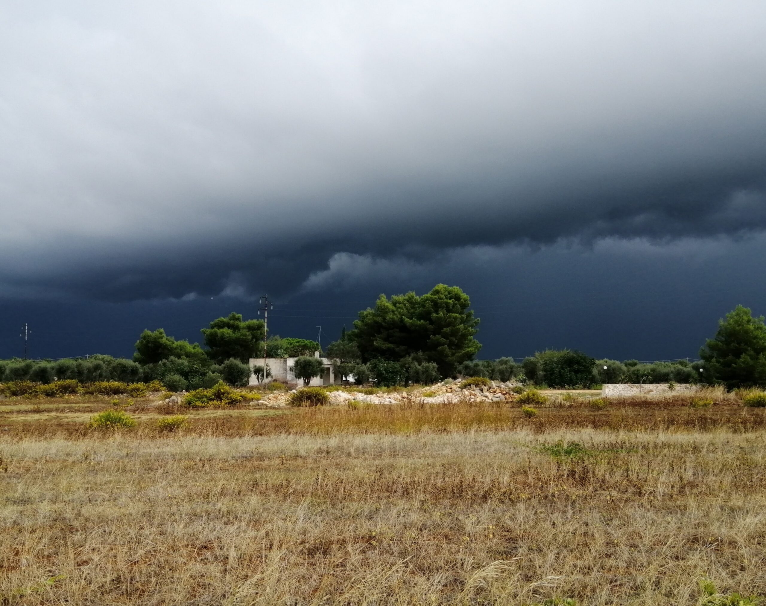 giornata mondiale del paesaggio oggi da Noinotizie.it giornata mondiale del paesaggio oggi
