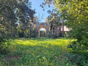 Maglie (LE), Bosco delle Ciancole Foto Adriana Greco Bozzi Colonna © Delegazione FAI Lecce Maglie (LE), Bosco delle Ciancole Foto Adriana Greco Bozzi Colonna © Delegazione FAI Lecce