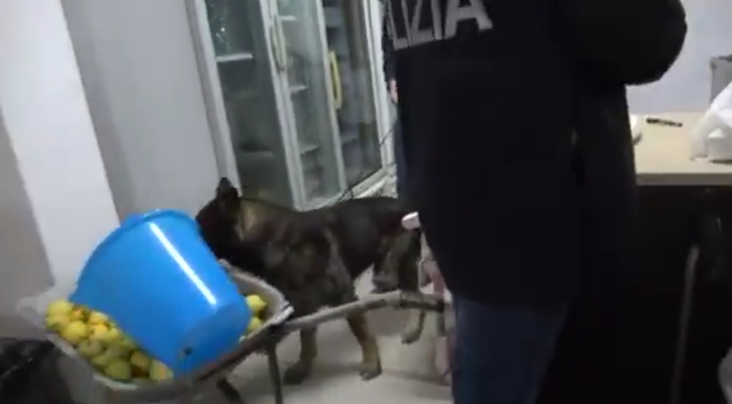 Brindisi: operazione antidroga, 25 arresti Polizia