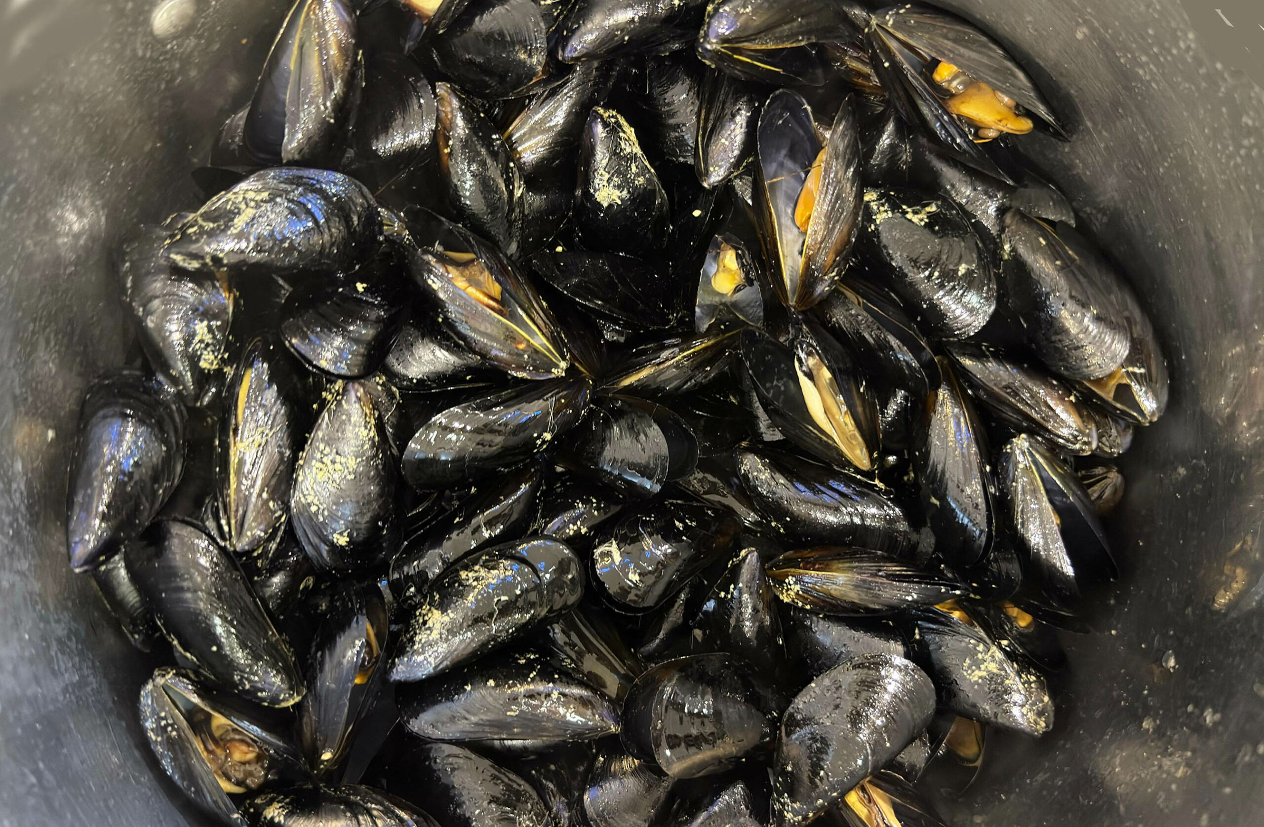 Ego food fest al via con la cozza tarantina Ottava edizione